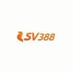 SV388 Profile Picture
