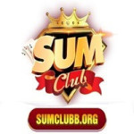 Sumclub Profile Picture
