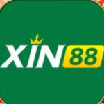 Xin 88 Profile Picture