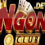 Ngonclub Profile Picture