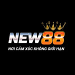 NEW 88 Profile Picture
