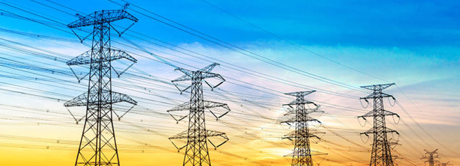 Sterlite electric Cover Image