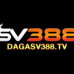 Nha cai SV388 Profile Picture