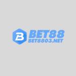 Bet 88 Profile Picture
