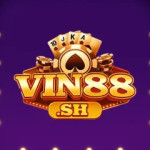 Vin88 sh Profile Picture