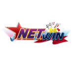 netwinsvin Profile Picture