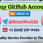 Buy GitHub Accounts Profile Picture