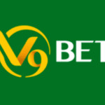 V9bet Profile Picture