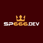 SP666 Dev Profile Picture