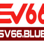 Sv66 Profile Picture