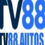 Tv88 Autos Profile Picture