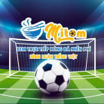 linkmitomtv Profile Picture