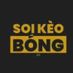 Soikeobongda de Profile Picture