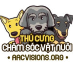 biquyetchamsocthucung Profile Picture