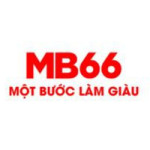 mb666 info Profile Picture