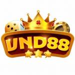 vnd88 Betvnd88 Profile Picture