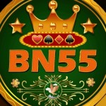 bn55games Profile Picture