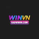 baowinvncom Profile Picture